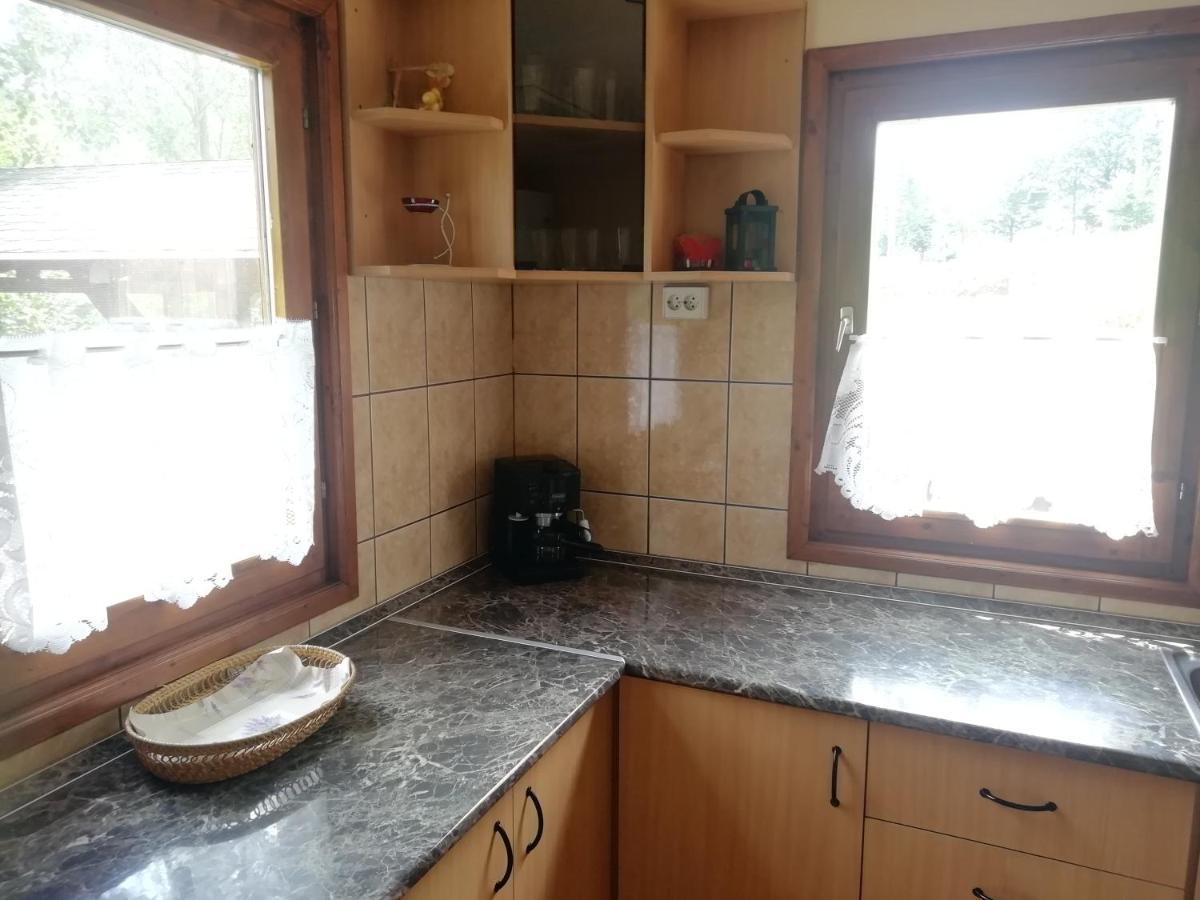 Вилла Demeny Vendeghaz Sub Cetate Экстерьер фото